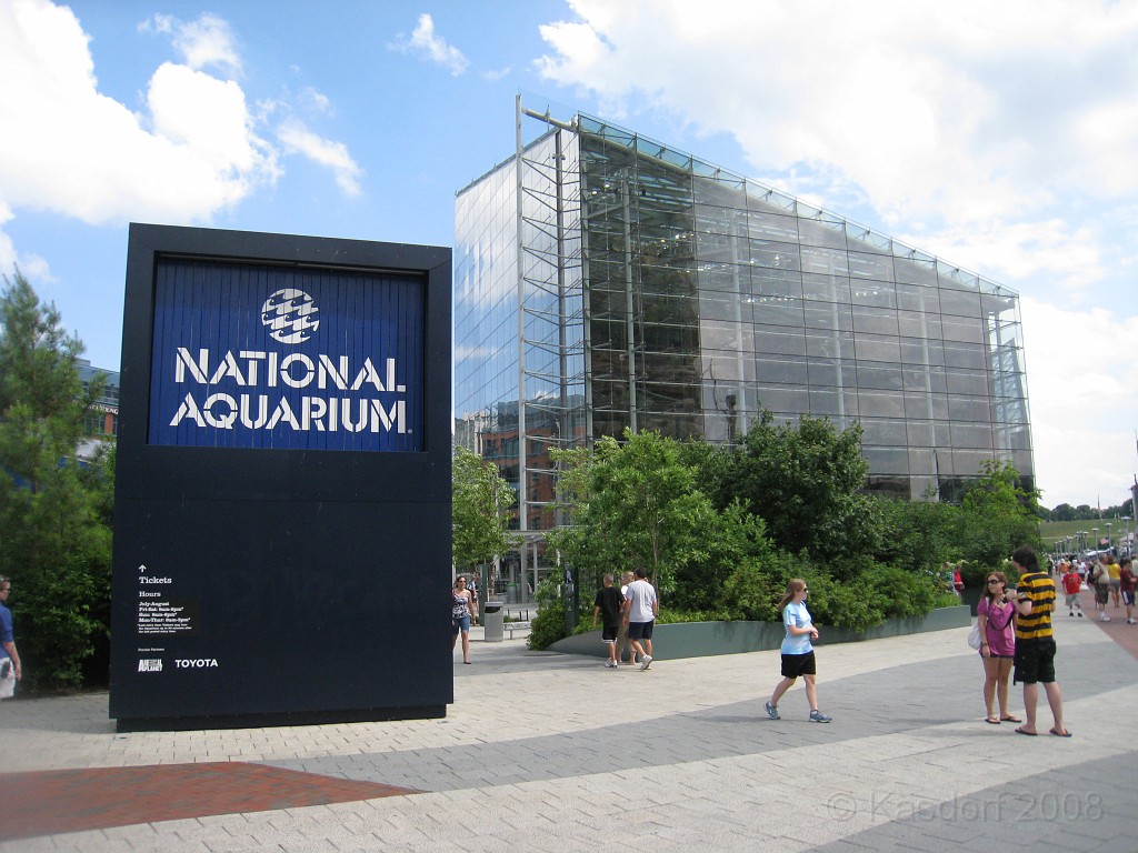 Baltimore MD 2009 0611.jpg - A 4th of July trip to Washington DC in 2009 included a stop in Baltimore MD to see the National Aquarium.